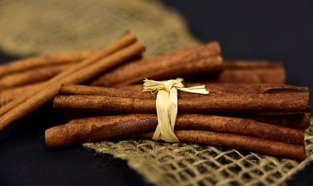 Cinnamon Energetics: Using Cinnamon as Herbal Medicine