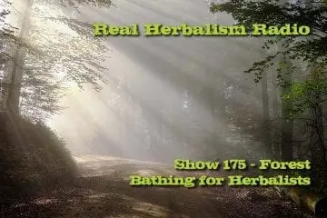 Forest Bathing for Herbalists