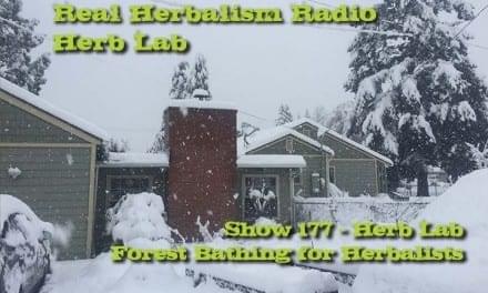 177.Herb Lab – Forest Bathing for Herbalists