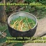 Truth-about-ayahuasca