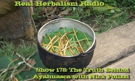 178.Ayahuasca: The Truth Behind This Grandmother Plant with Nick Polizzi