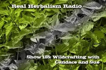 Show 185 Wildcrafting Herbs with Candace and Sue