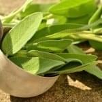 sage in a rustic laddle