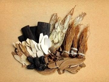 assorted chinese herbs