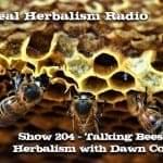 Bees and Herbs with Dawn Combs