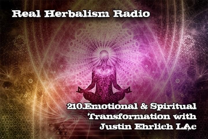 Show 210 Cover Image