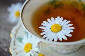 chamomile flower in chamomile tea