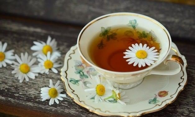 Chamomile Energetics: Cool the Fire Gently and Powerfully