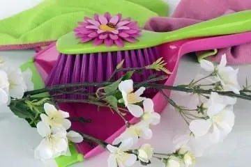 brush and dustpan with roses and flowers: Cleaning