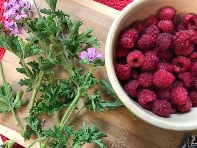 rose geranium and fresh raspberries on a counter