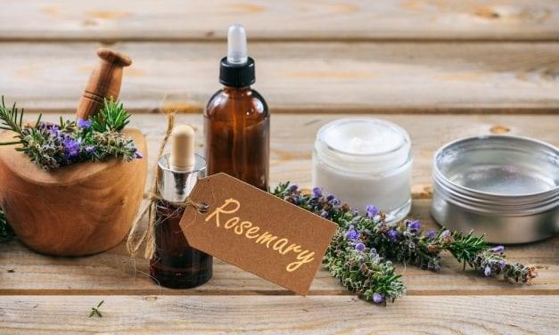 Rosemary Resources: Herbal Remedies for Memory care, Digestion