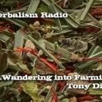 Tiger Tea Blend Sacred Blossom Farm Real Herbalism Radio 226.Wandering into Farming with Tony DiMaggio