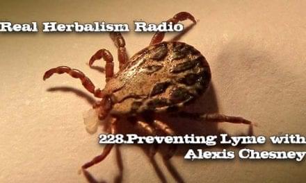 228.Preventing Lyme with Alexis Chesney