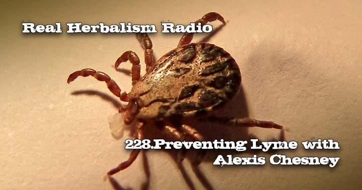 Real Herbalism Radio 228.Preventing Lyme with Alexis Chesney with Tick in Background