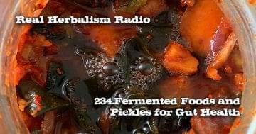 Kimchi 234.Fermented Foods and Pickles for Gut Health Real Herbalism Radio