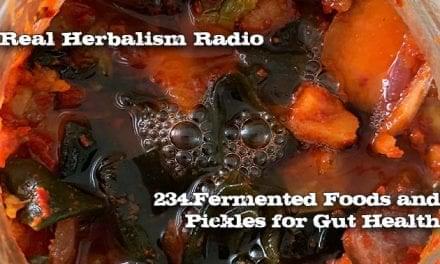 234.Fermented Foods and Pickles for Gut Health