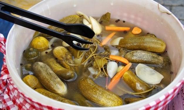 Pickling vs Fermenting: Feed Your Microbiome Right & Stay Healthy
