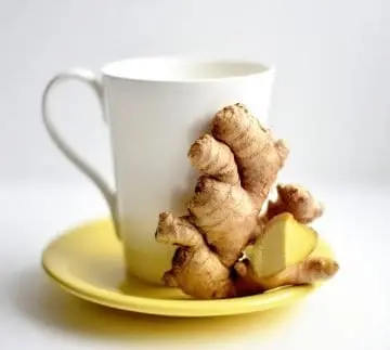 fresh ginger root with tea cup