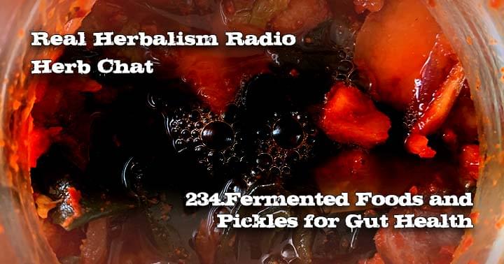 235.Fermented Foods for Gut Health Herb Chat Real Herbalism Radio