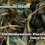 Angel Tea in background Real Herbalism Radio 238 Polyculture=Quality:Biodynamic Farming with Tony DiMaggio