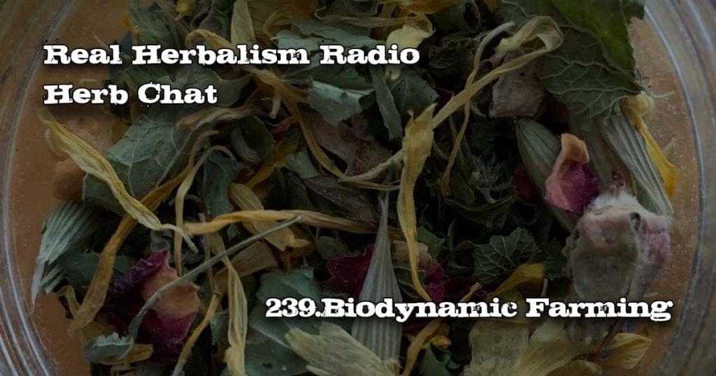 Sacred Blossom Farm Angel Tea in Background.Real Herbalism Radio. Herb Chat.239.Biodynamic Farming