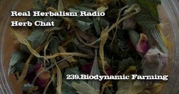 Sacred Blossom Farm Angel Tea in Background.Real Herbalism Radio. Herb Chat.239.Biodynamic Farming