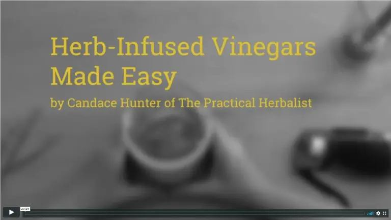 Herbal Vinegars Made Easy by Candace Hunter of The Practical Herbalist