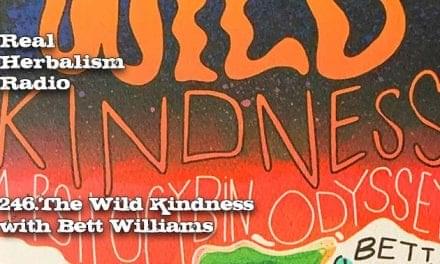 246.The Wild Kindness with Bett Williams