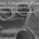 Sinus Pain, Congestion, Runny Nose: Herbal Remedies for Cold/Flu with Candace Hunter of The Practical Herbalist