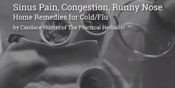 Sinus Pain, Congestion, Runny Nose: Herbal Remedies for Cold/Flu with Candace Hunter of The Practical Herbalist