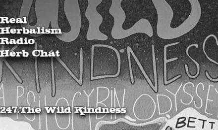 247.The Wild Kindness – Herb Chat