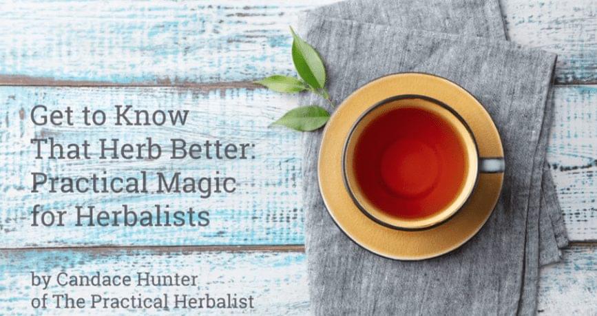 Get to Know that Herb Better: Practical Magic for Herbalists by Candace Hunter of The Practical Herbalist with cup of tea on table