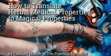 How to translate herbal medical properties into Magickal properties, practical magic for herbalists