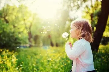 child blowing dandelion seeds showing magic of wishing on dandelion