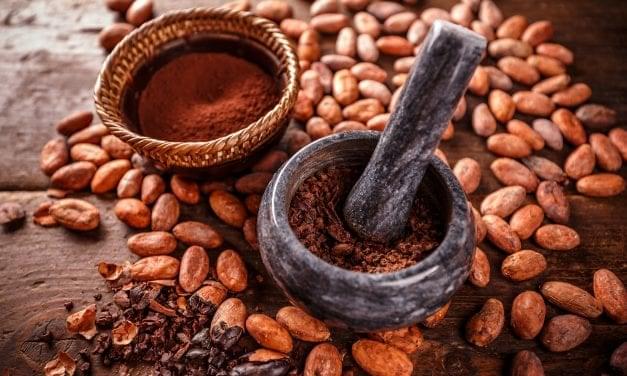 Cacao Magic: Roasting Your Own Beans at Home