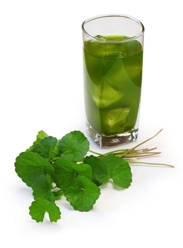 centella asiatica, gotu kola and juice