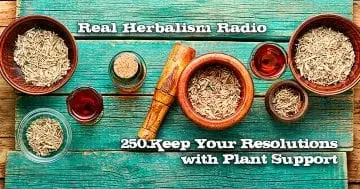 mortar, pestle, herbs. Real Herbalism Radio show 250 Keep Your New Years Resolutions with Plant Power: 3 Key Actoins