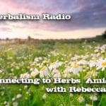 Chamomile field Real Herbalism Radio Show 252 Connecting to Herbs amid Chaos with Rebecca Ingalls