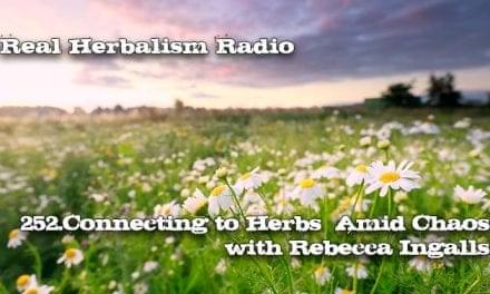 252.Connecting to Herbs Amid Chaos with Rebecca Ingalls