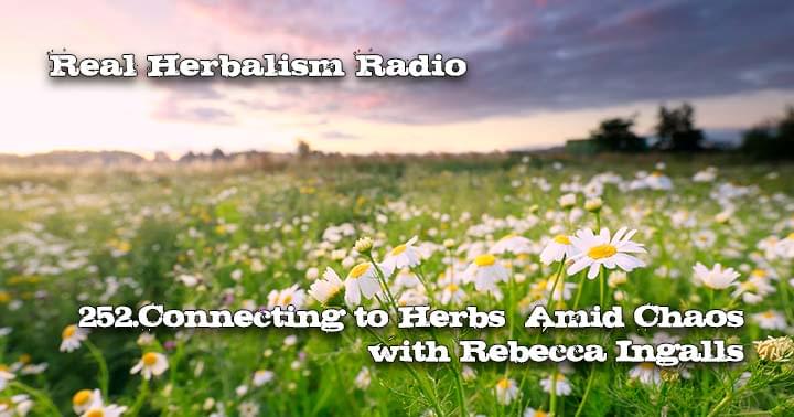 252.Connecting to Herbs Amid Chaos with Rebecca Ingalls