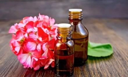 Rose Geranium Essential Oil for Emotional and Physical Healing