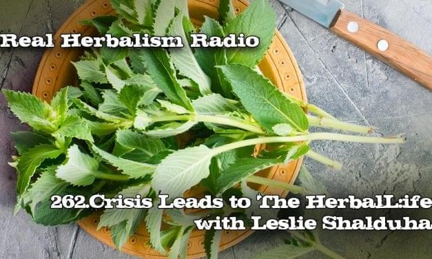 262.Crisis Leads to The Herbal Life with Leslie Shalduha