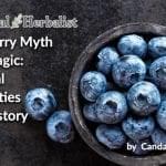 Blueberry-Myth-Magic-Magical-Properties-History