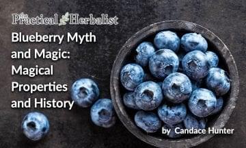 Blueberry-Myth-Magic-Magical-Properties-History