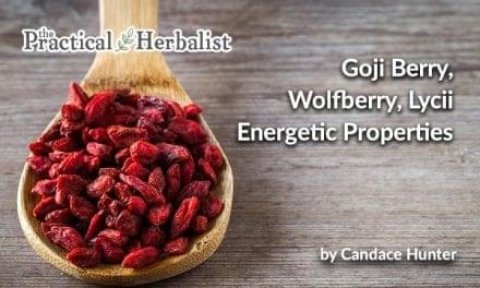 Goji Berry, Wolfberry, Lycii, Energetic Properties