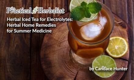 Herbal Iced Tea for Electrolytes: Herbal Home Remedies for Summer