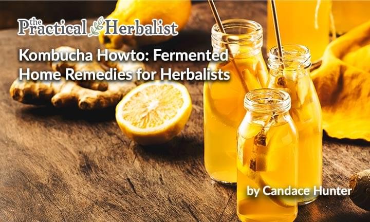 Kombucha-Howto-Fermented-Home-Remedies-Herbalists