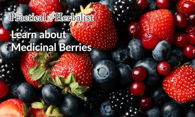 Berries as Herbal Medicine: Links, Videos, Berry Herbal Remedies