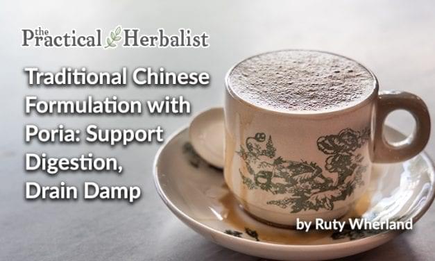 Traditional Chinese Formulation with Poria: Support Digestion, Drain Damp