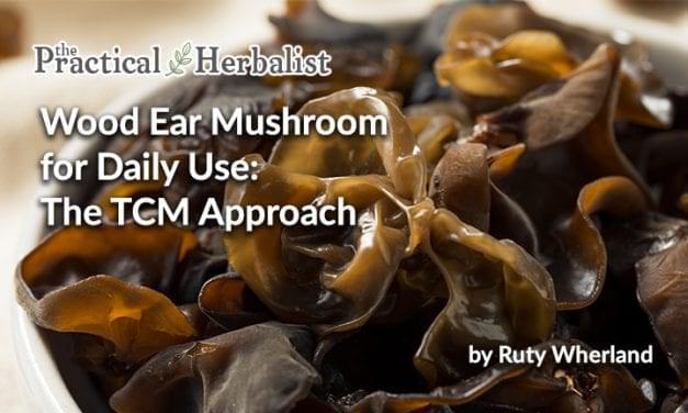 Wood Ear Mushroom for Daily Use: The TCM Approach to Yin Er